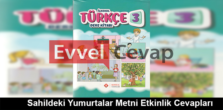 Sahildeki Yumurtalar Metni Etkinlik Cevapları (3. Sınıf Türkçe)