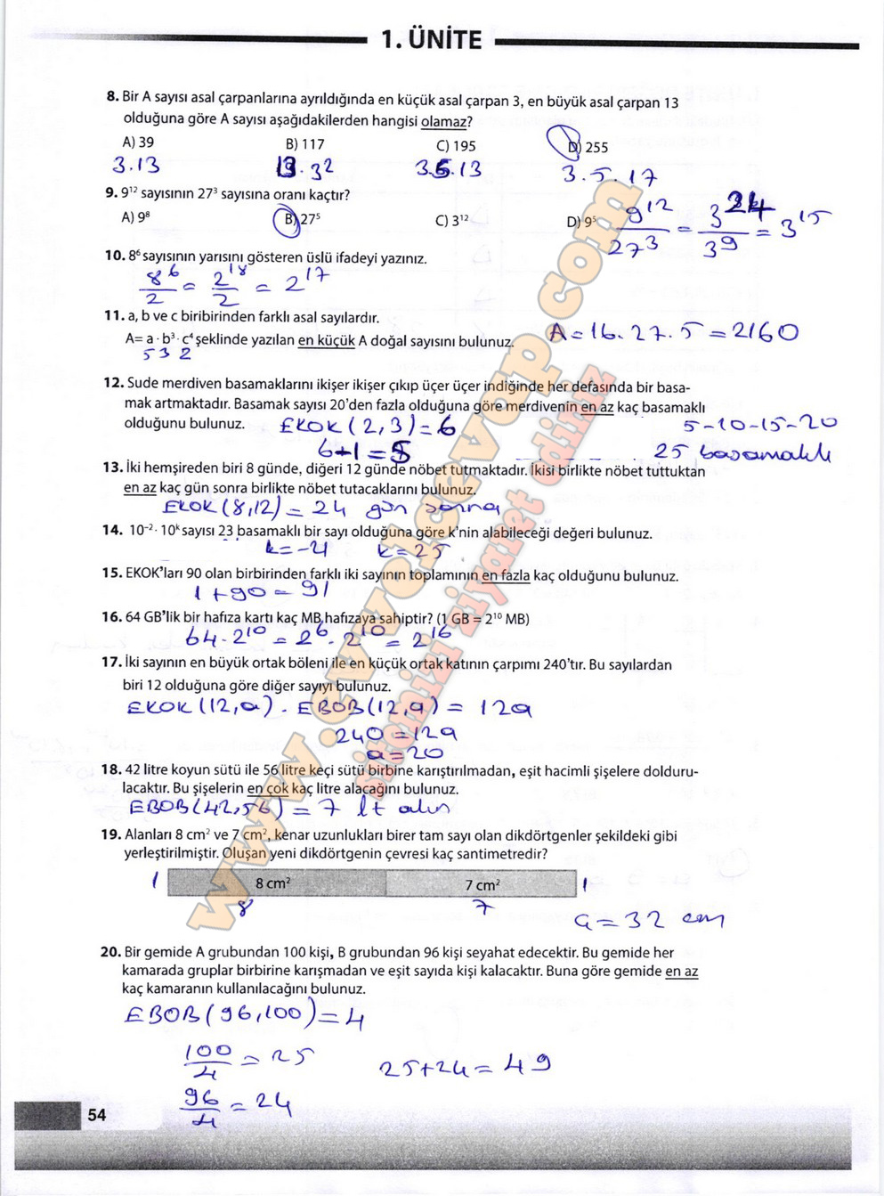 8. Sınıf Matematik Meb Yayınları Ders Kitabı Sayfa 54 Cevapları