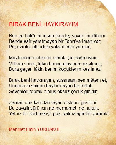 Bırak Beni Haykırayım Şiir İncelemesi
