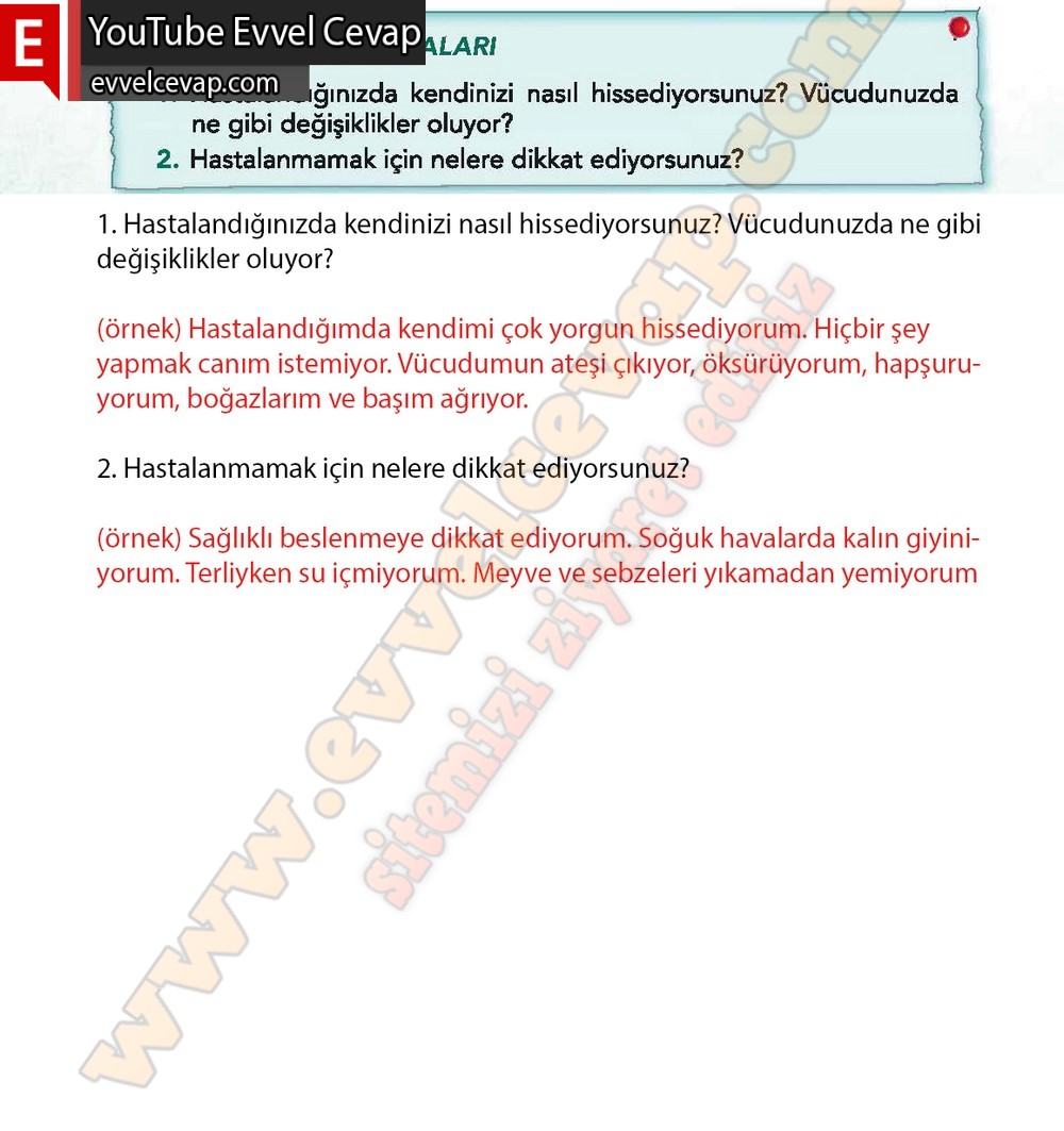 3. Sınıf Sonuç Yayınları Türkçe Ders Kitabı Cevapları Sayfa 156