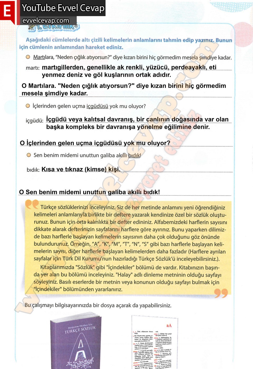 4. sınıf Koza Yayınları Türkçe Ders Kitabı Cevapları Sayfa 16