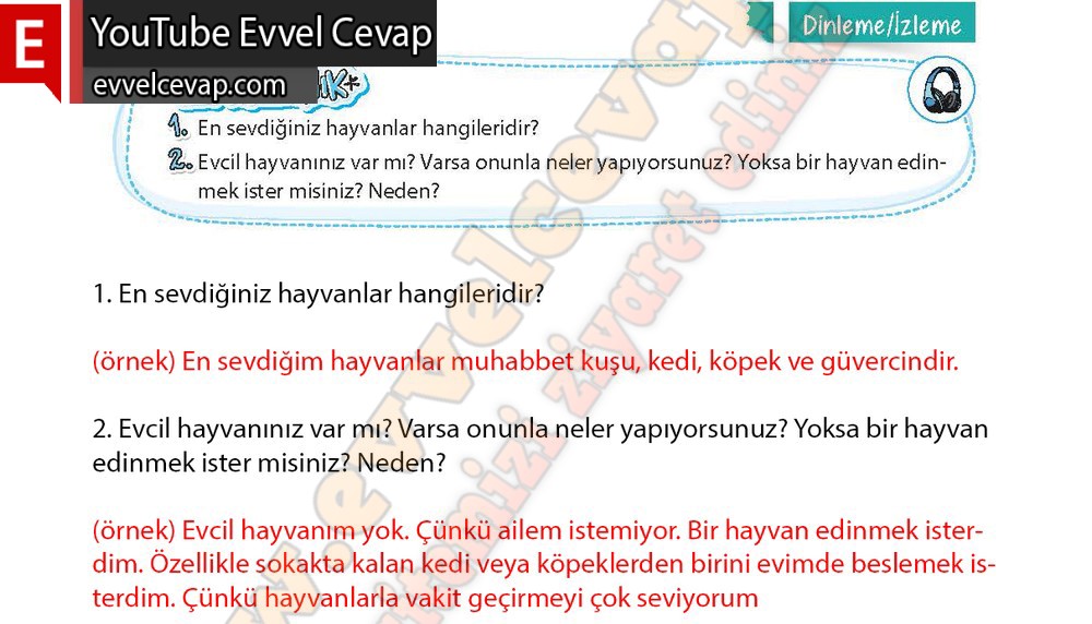 4. sınıf Koza Yayınları Türkçe Ders Kitabı Cevapları Sayfa 161