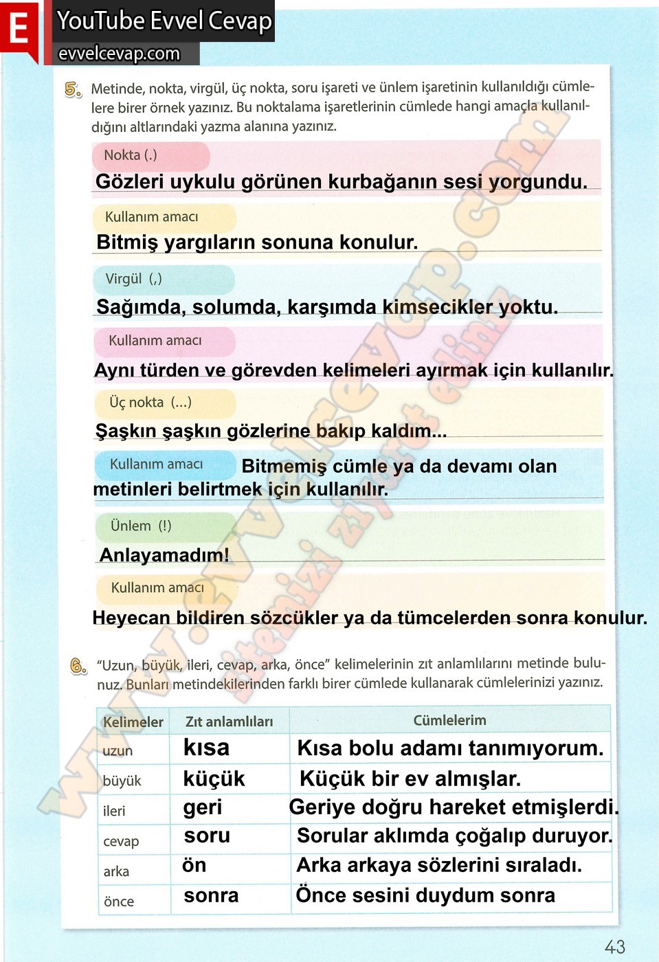 4. sınıf Koza Yayınları Türkçe Ders Kitabı Cevapları Sayfa 43