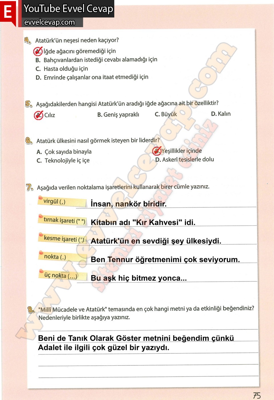 4. sınıf Koza Yayınları Türkçe Ders Kitabı Cevapları Sayfa 75