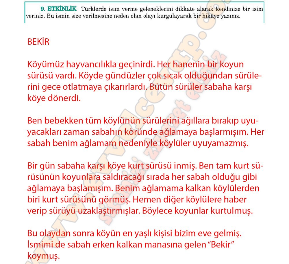 5. sınıf Anıttepe Yayıncılık Türkçe Ders Kitabı Cevapları Sayfa 126