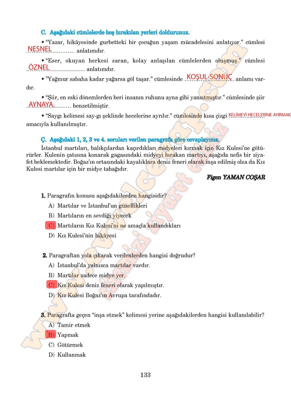 5. sınıf Anıttepe Yayıncılık Türkçe Ders Kitabı Cevapları Sayfa 133