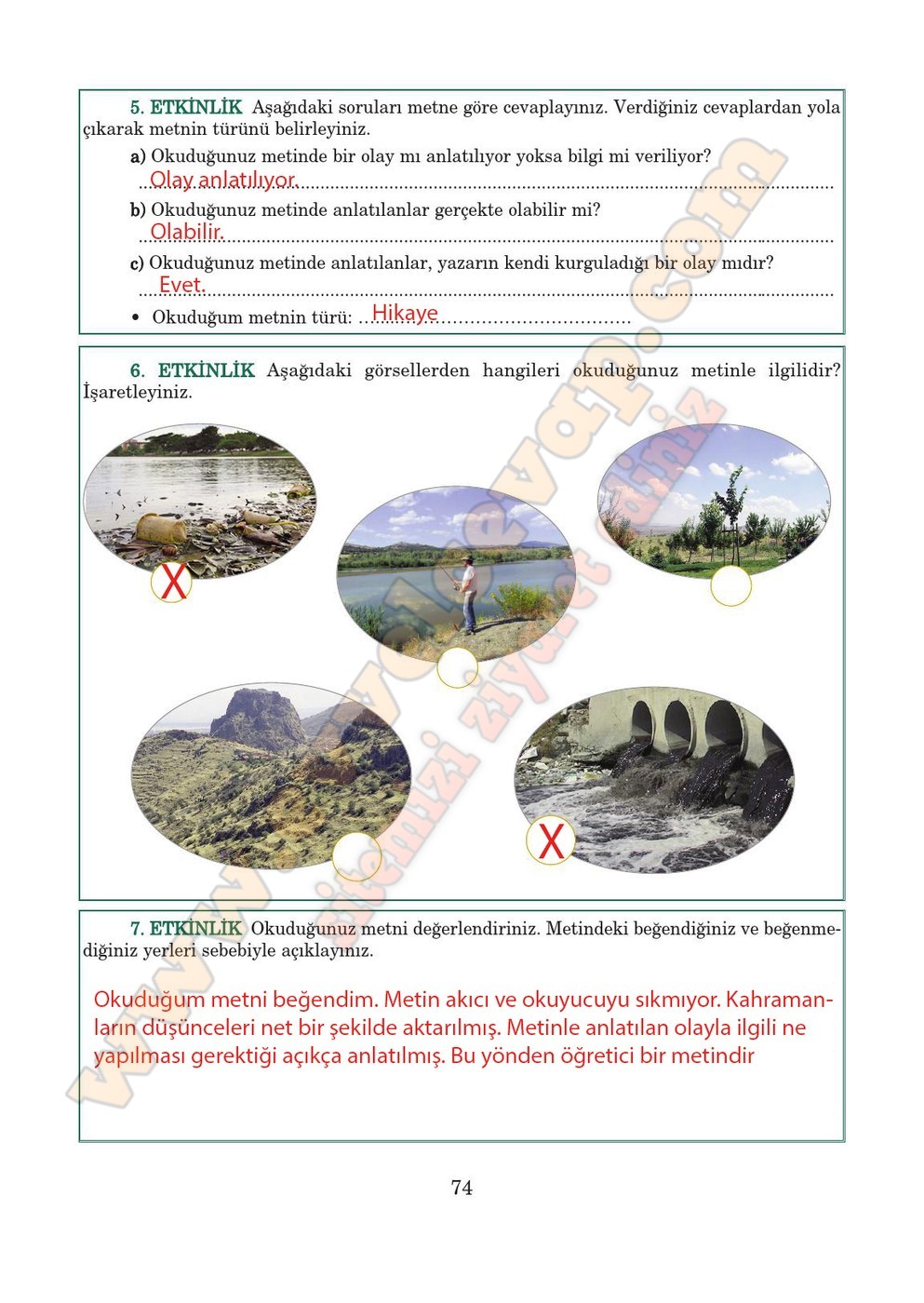 5. sınıf Anıttepe Yayıncılık Türkçe Ders Kitabı Cevapları Sayfa 74