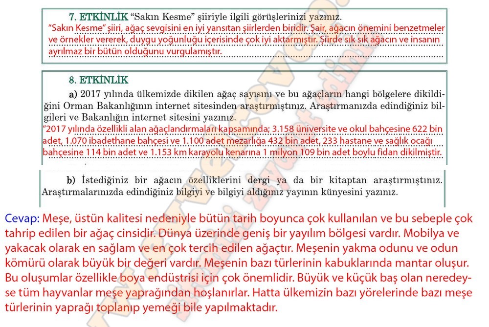 5. sınıf Anıttepe Yayıncılık Türkçe Ders Kitabı Cevapları Sayfa 96