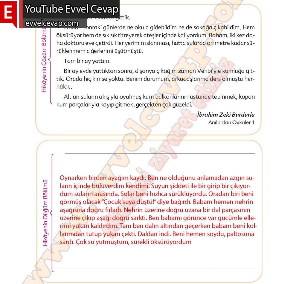6. sınıf Ekoyay Yayınları Türkçe Ders Kitabı Cevapları Sayfa 100