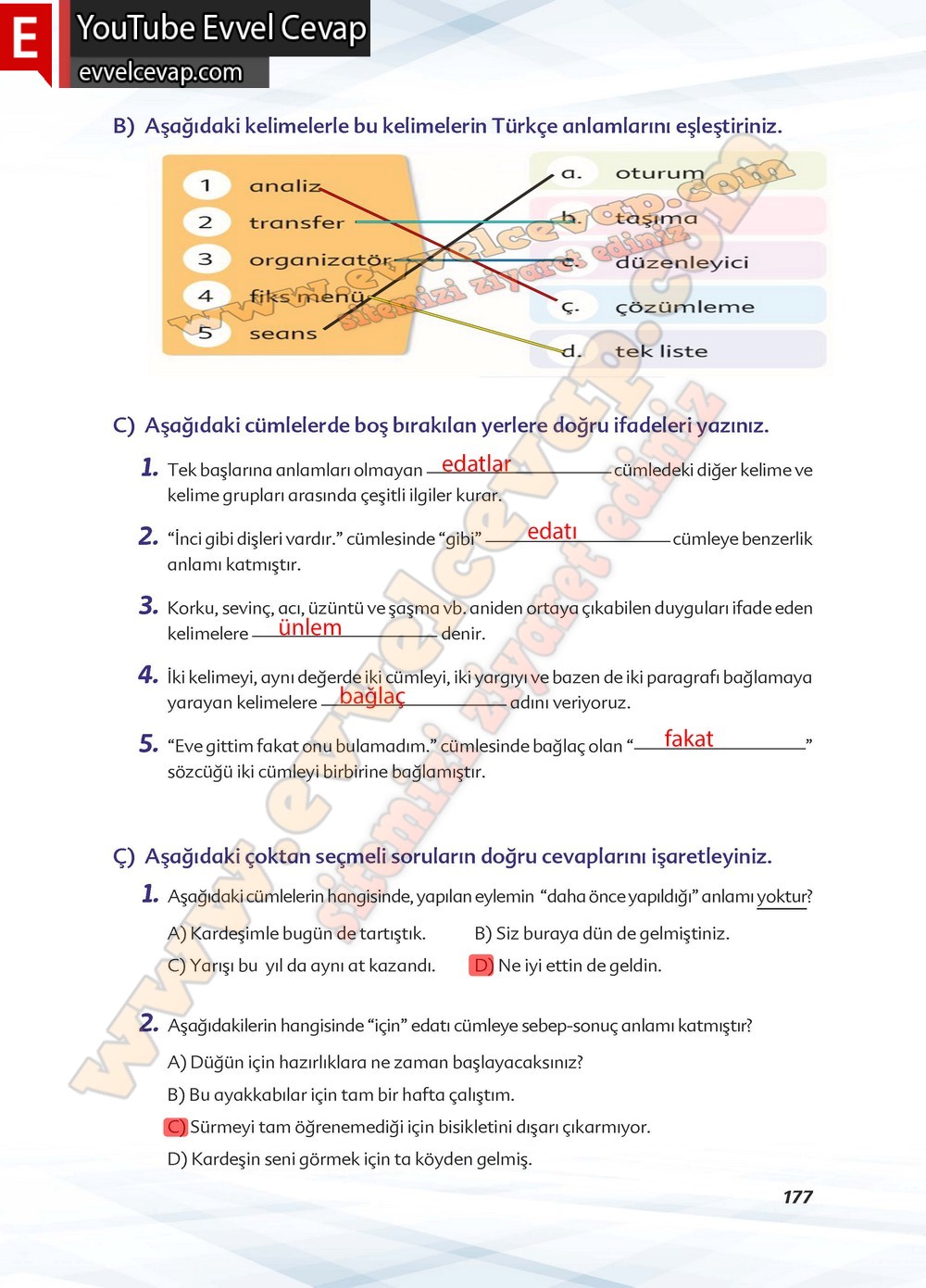 6. sınıf Ekoyay Yayınları Türkçe Ders Kitabı Cevapları Sayfa 177