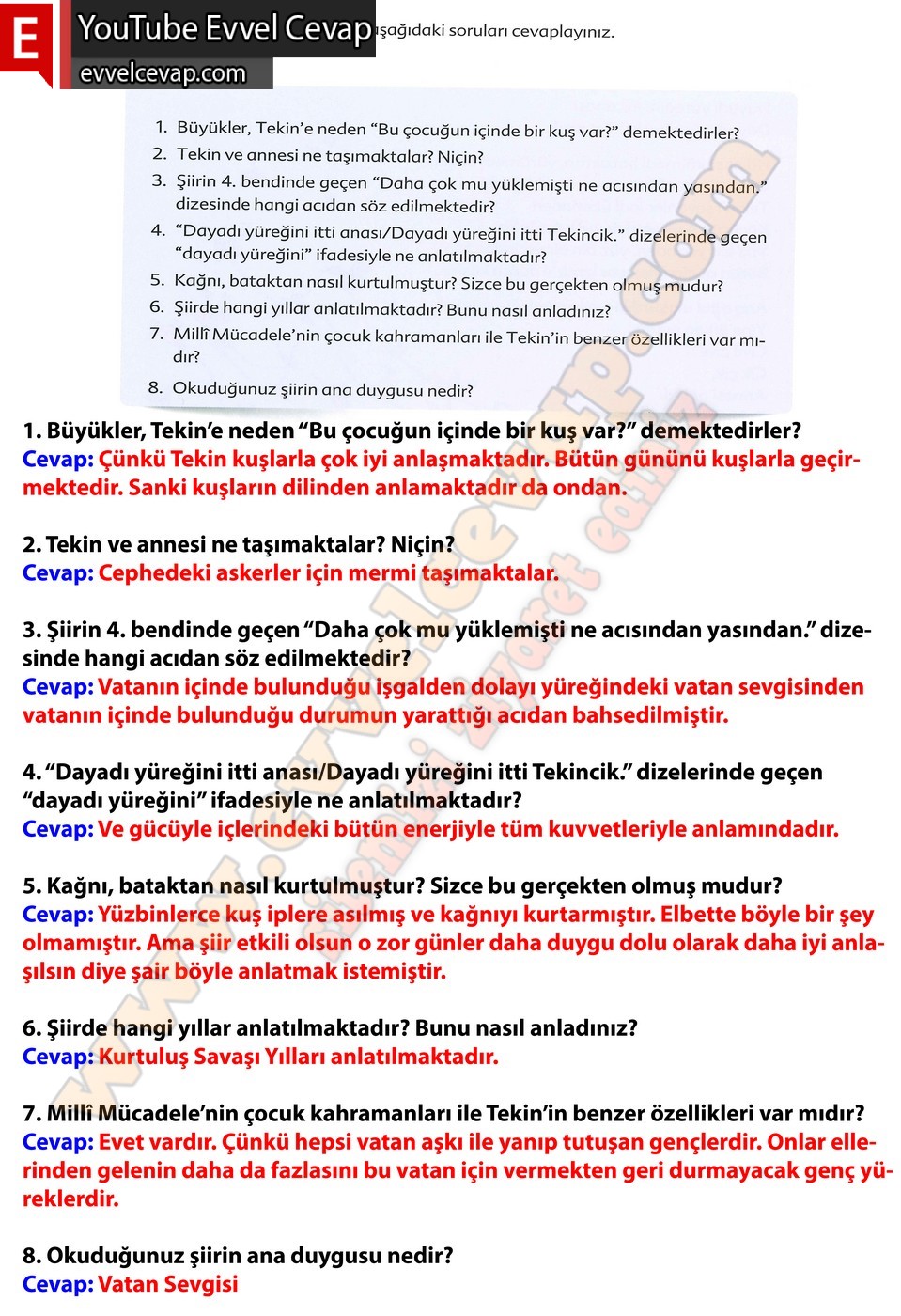 6. sınıf Ekoyay Yayınları Türkçe Ders Kitabı Cevapları Sayfa 44
