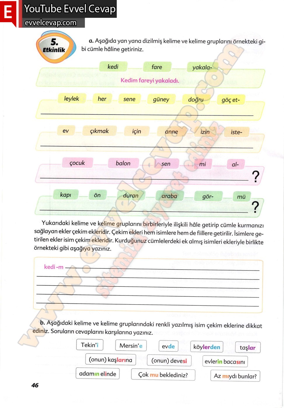 6. sınıf Ekoyay Yayınları Türkçe Ders Kitabı Cevapları Sayfa 46