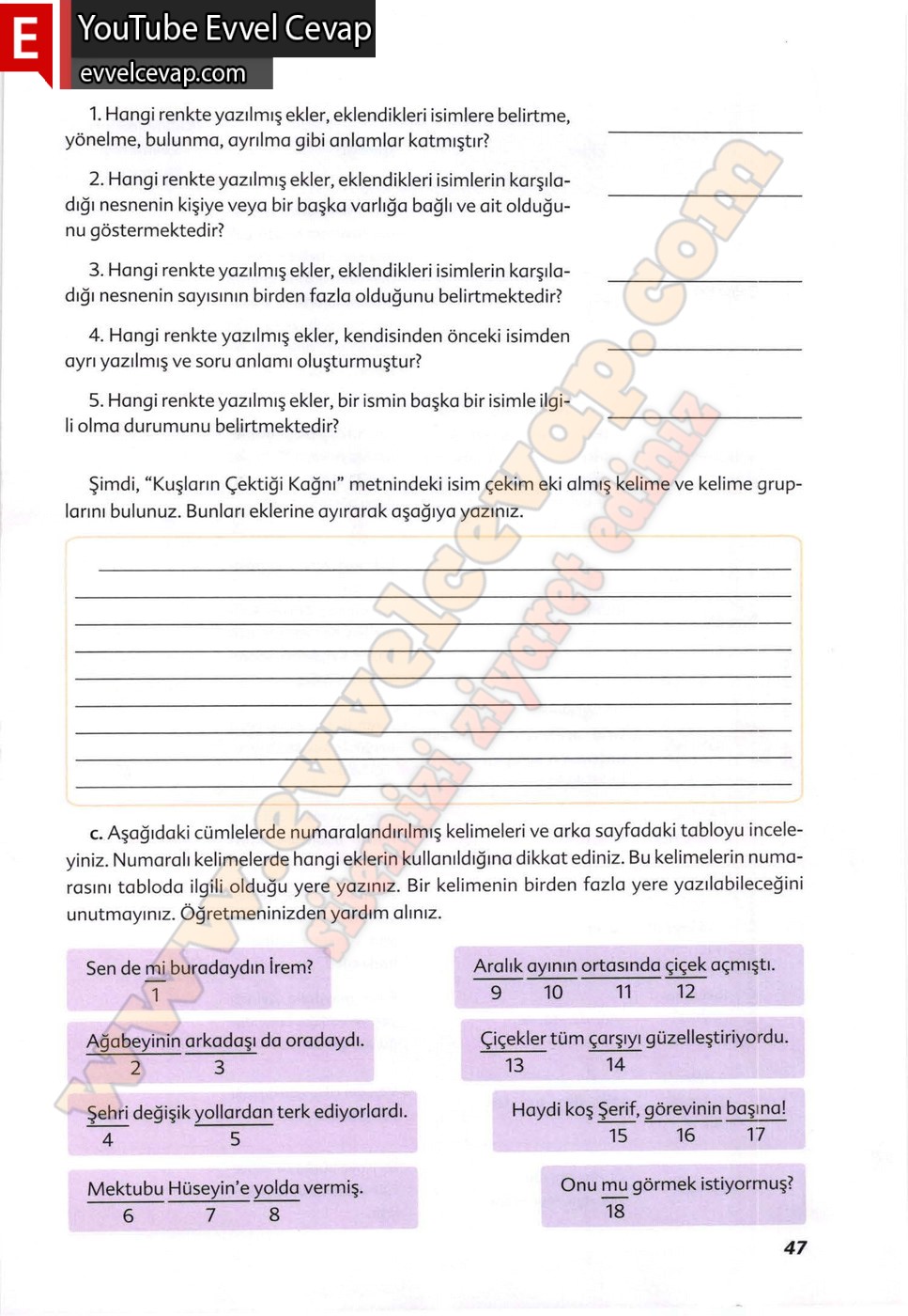 6. sınıf Ekoyay Yayınları Türkçe Ders Kitabı Cevapları Sayfa 47