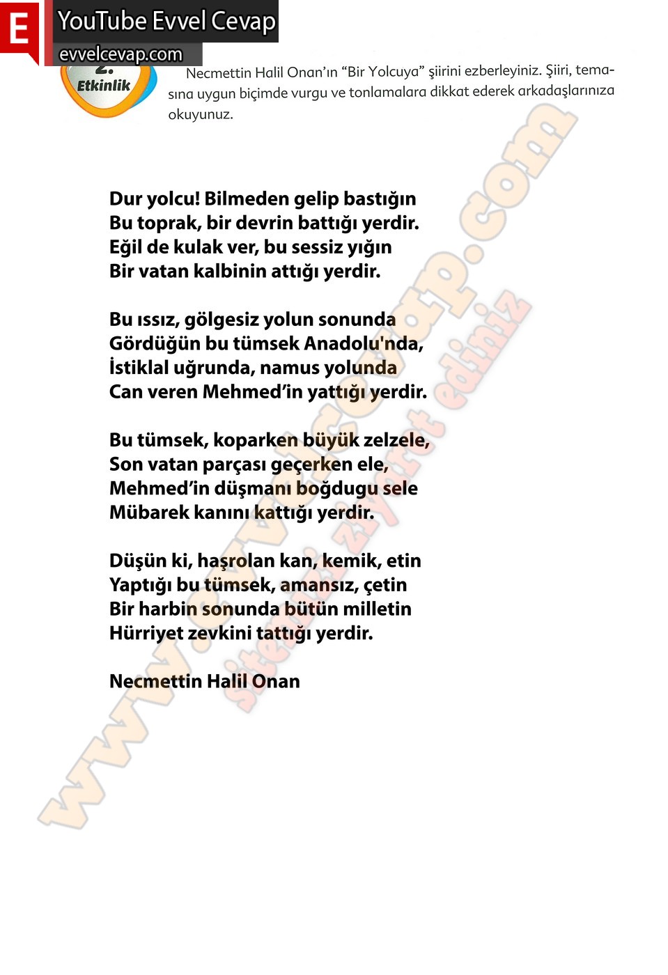 6. sınıf Ekoyay Yayınları Türkçe Ders Kitabı Cevapları Sayfa 53