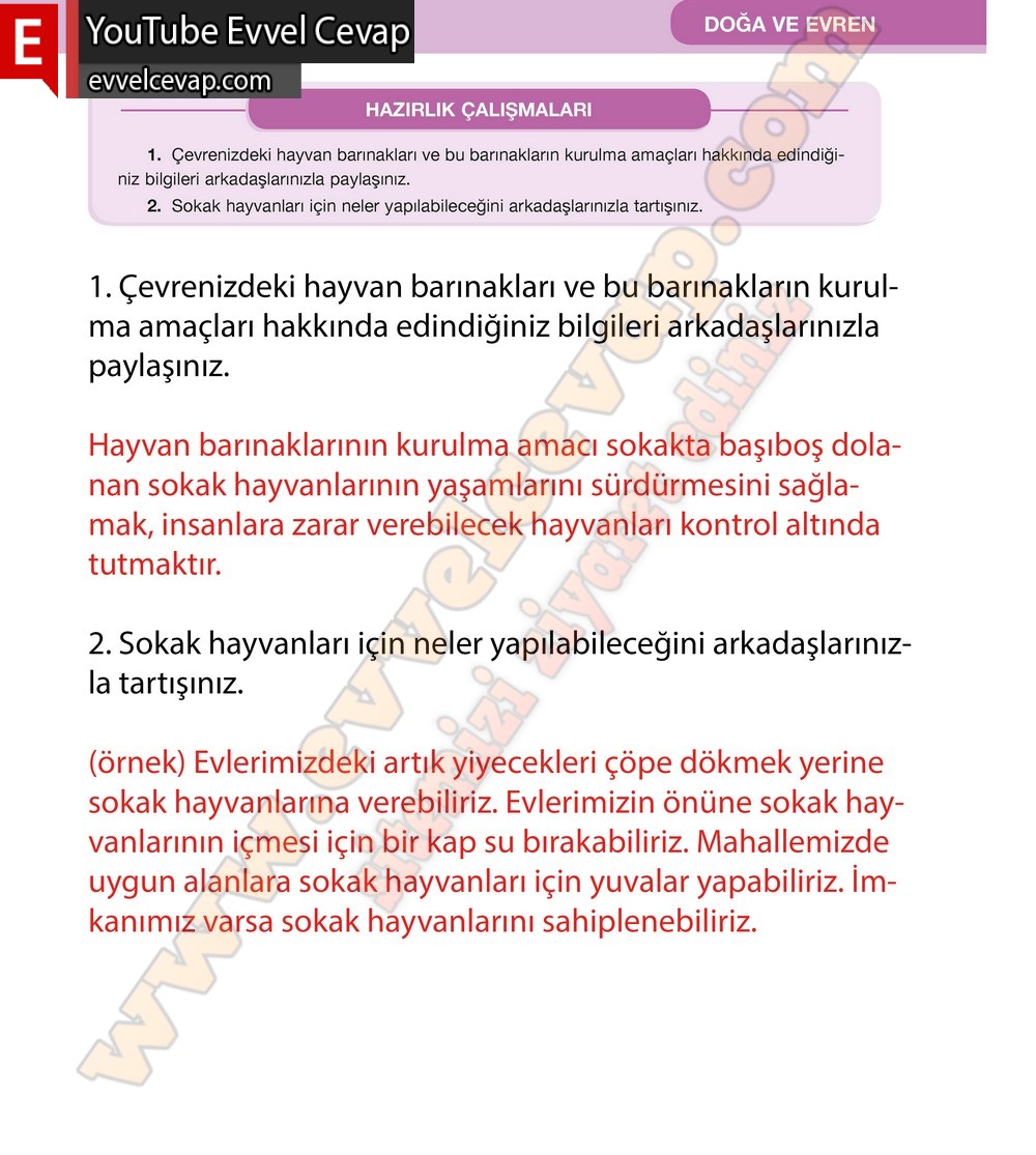 7. Sınıf Özgün Yayınları Türkçe Ders Kitabı Cevapları Sayfa 141