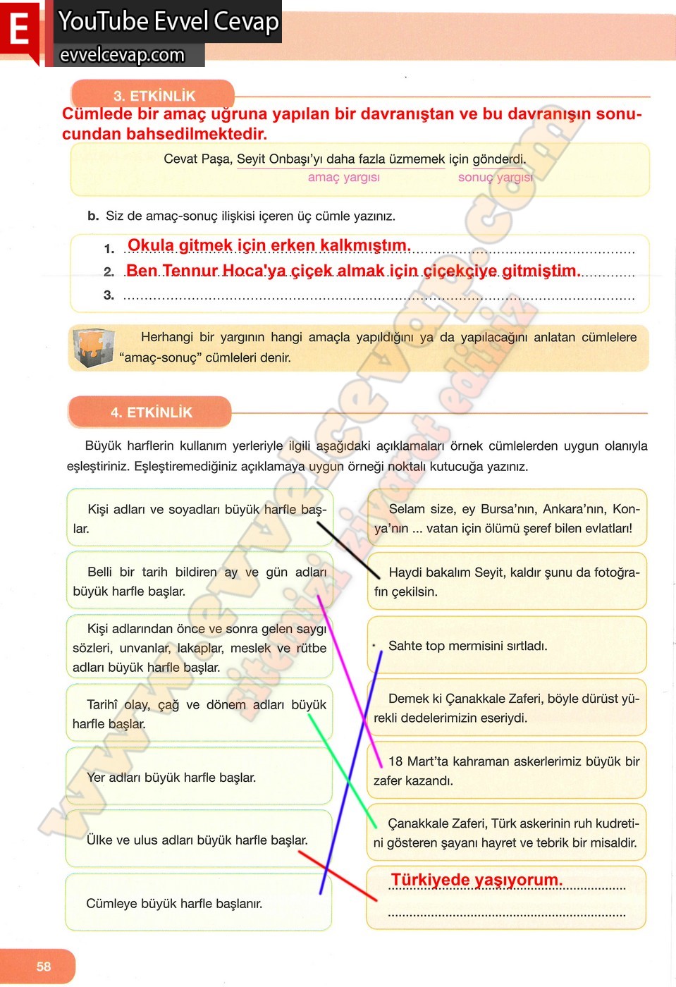 7. Sınıf Özgün Yayınları Türkçe Ders Kitabı Cevapları Sayfa 58