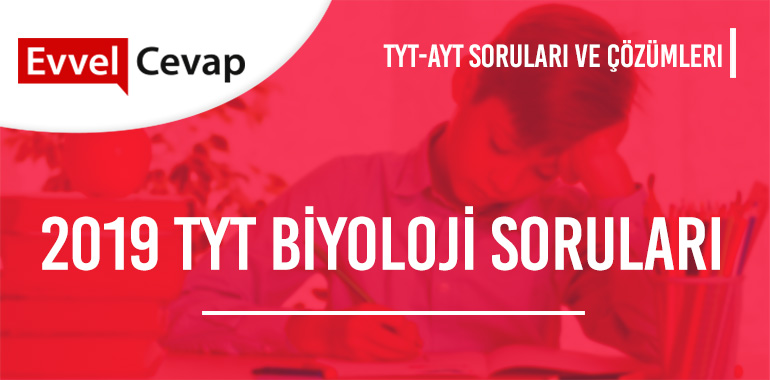 2019 TYT Biyoloji Soruları ve Çözümleri 