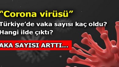 Türkiye Corona Virüsü Vaka ve Ölü Sayısı