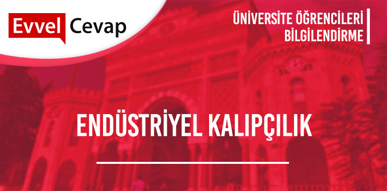 Endüstriyel Kalıpçılık 2 Yıllık Taban Puanları 2020 