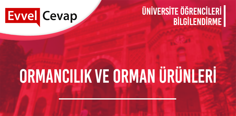 Ormancılık ve Orman Ürünleri 2 Yıllık Taban Puanları 2020 