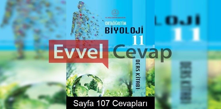 11. Sınıf Biyoloji Meb Yayınları Ders Kitabı Cevapları Sayfa 107