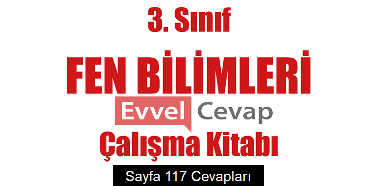 3. Sınıf Fen Bilimleri Çalışma Kitabı Cevapları Sayfa 117 
