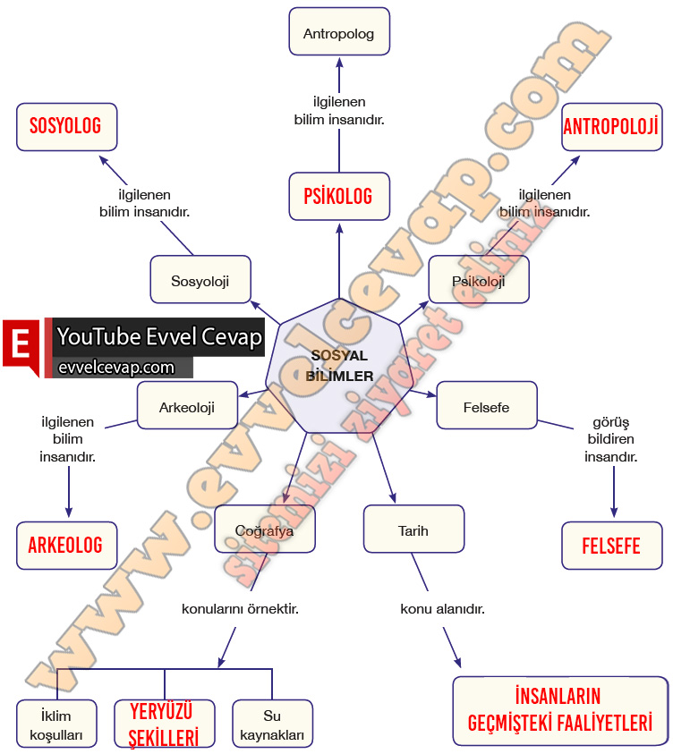 6 Sinif Sosyal Bilgiler Anadol Yayincilik Ders Kitabi Cevaplari Sayfa 155