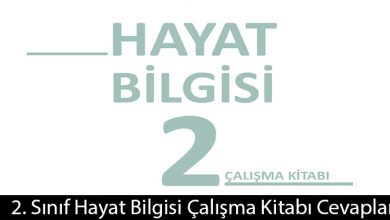 2. Sınıf Meb Yayınları Hayat Bilgisi Çalışma Kitabı Cevapları