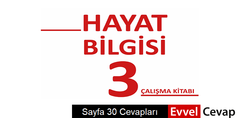 3 Sinif Hayat Bilgisi Calisma Kitabi Sayfa 30 Cevaplari