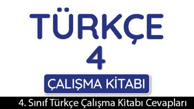 4. Sınıf Meb Yayınları Türkçe Çalışma Kitabı Cevapları