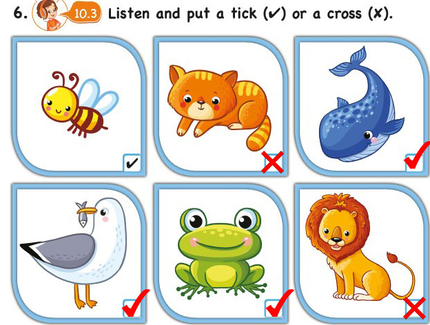 Read and put a tick. Ответ. Read and put a tick or a cross перевод. Look read and put a tick. Yle starter задание.