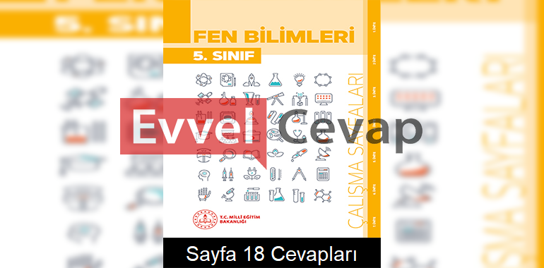 5. Sınıf Fen Bilimleri Çalışma Sayfaları Kitabı Cevapları 6. Ünite Sayfa 18 