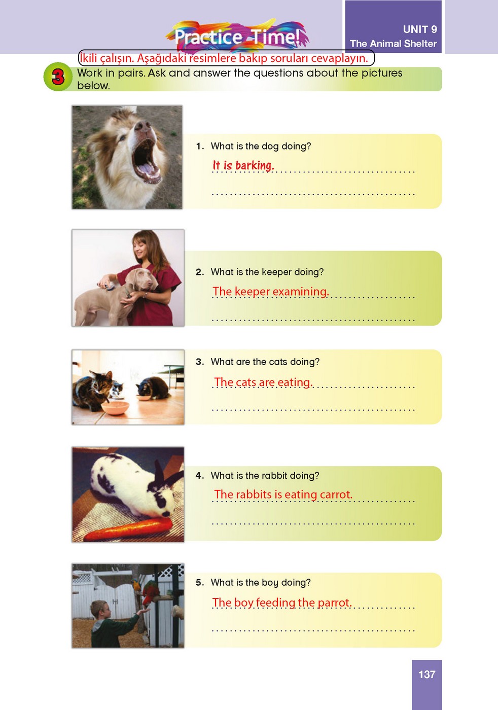 Work in pairs. Ask and answer the questions about the pictures below.