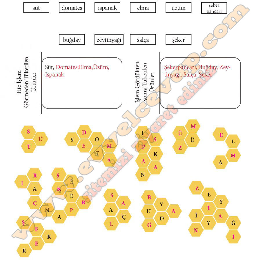 “Kullandığımız ürünlerden bazıları hiç işlem görmeden doğrudan