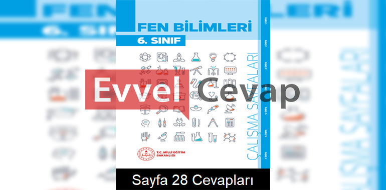 6. Sınıf Fen Bilimleri Çalışma Sayfaları Kitabı Cevapları 2. Ünite Sayfa 28 