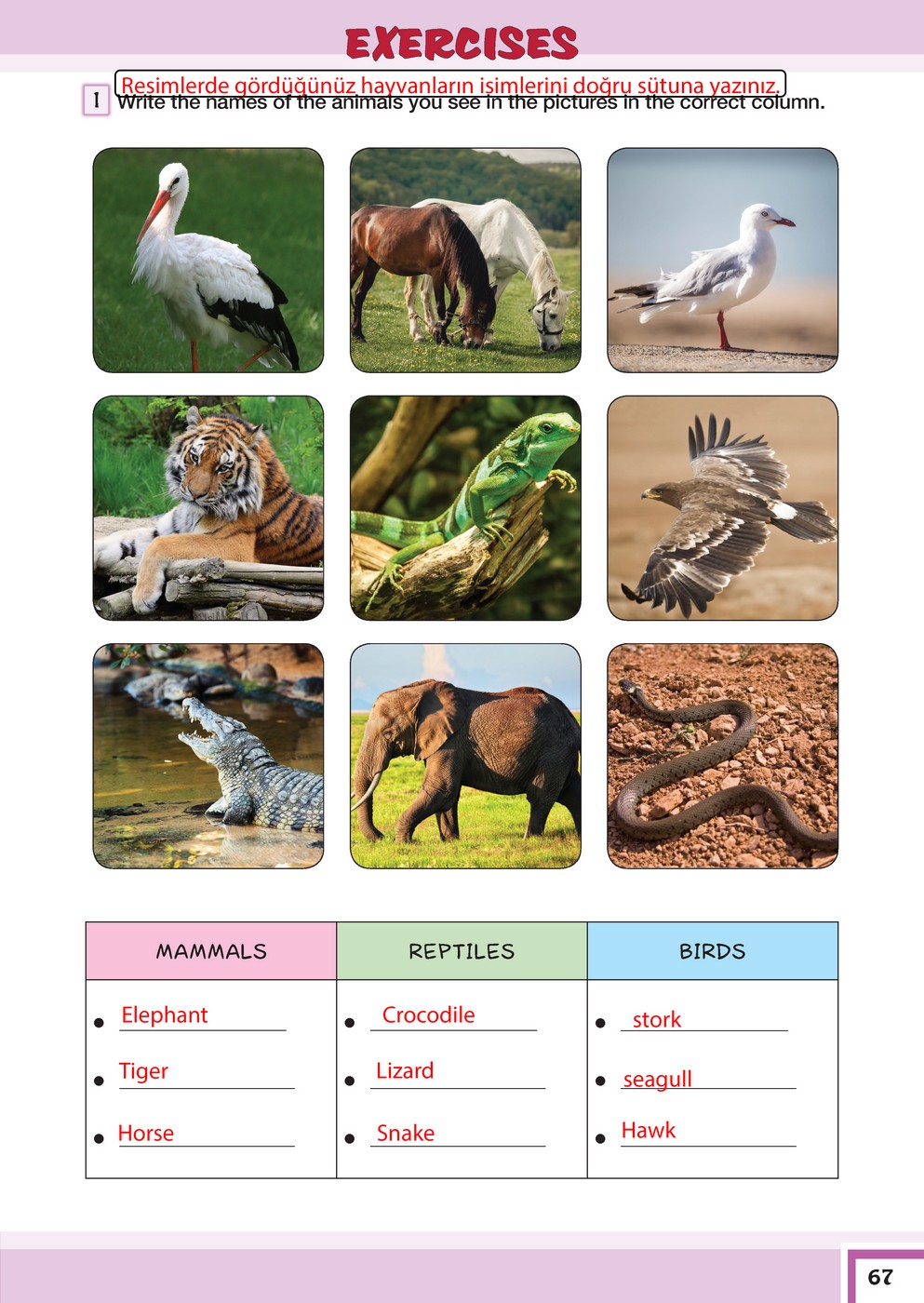 Write the names of the animals you see in the pictures in the correct ...