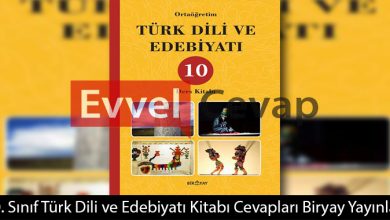 10. Sınıf Biryay Yayınları Türk Dili ve Edebiyatı Ders Kitabı Cevapları