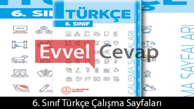 6. Sınıf Türkçe Çalışma Sayfaları Kitabı Cevapları
