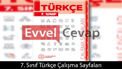 7. Sınıf Türkçe Çalışma Sayfaları Kitabı Cevapları