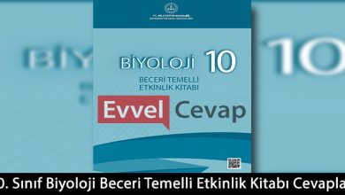 10. Sınıf Biyoloji Beceri Temelli Etkinlik Kitabı Cevapları