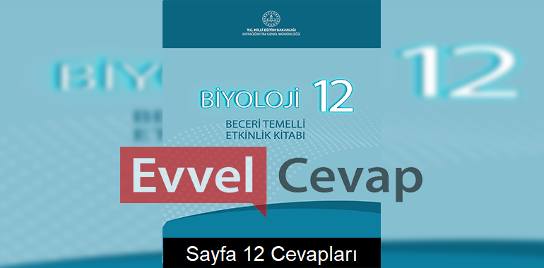 12. Sınıf Biyoloji Beceri Temelli Etkinlik Kitabı Cevapları Sayfa 12 