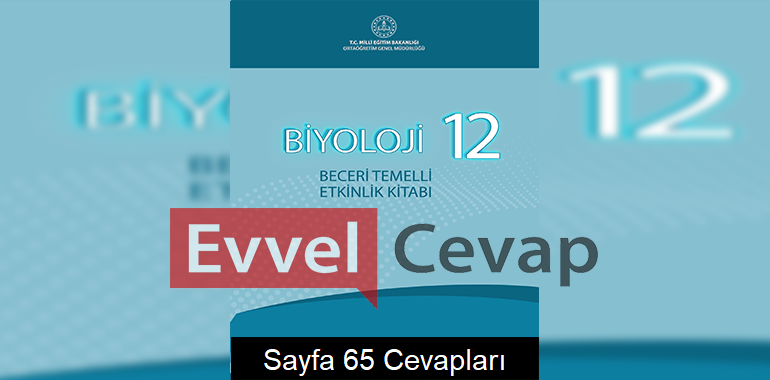 12. Sınıf Biyoloji Beceri Temelli Etkinlik Kitabı Cevapları Sayfa 65 