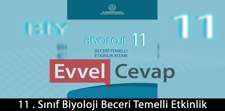 11. Sınıf Biyoloji Beceri Temelli Etkinlik Kitabı Cevapları