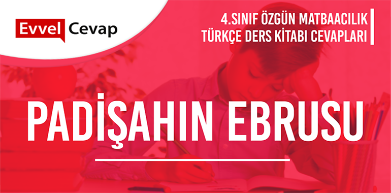Padişahın Ebrusu Metni Etkinlik Cevapları (4. Sınıf Türkçe) 