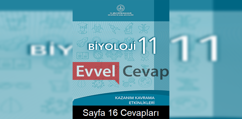 11. Sınıf Biyoloji Kazanım Kavrama Etkinlikleri Cevapları Sayfa 16 