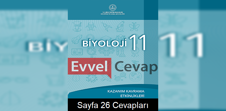 11. Sınıf Biyoloji Kazanım Kavrama Etkinlikleri Cevapları Sayfa 26 