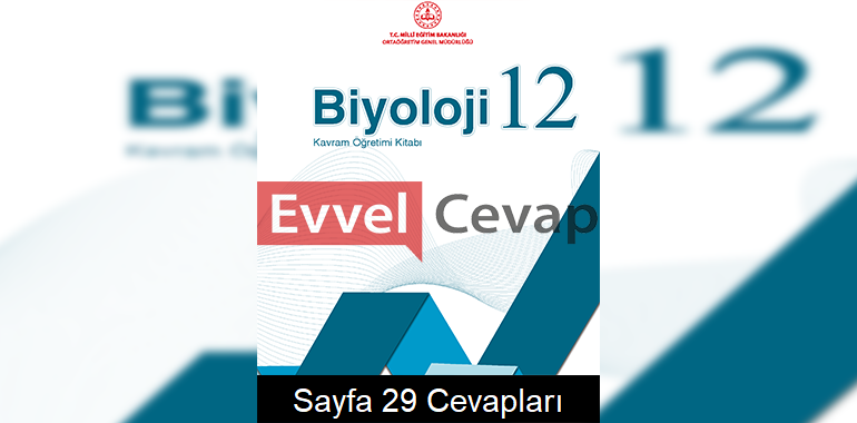 12. Sınıf Biyoloji Kavram Öğretimi Kitabı Cevapları Sayfa 29 