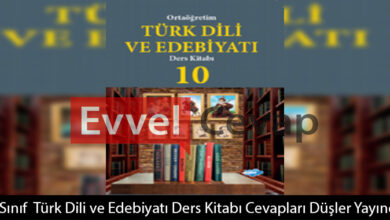 10. Sınıf Türk Dili ve Edebiyatı Ders Kitabı Cevapları Düşler Yayıncılık