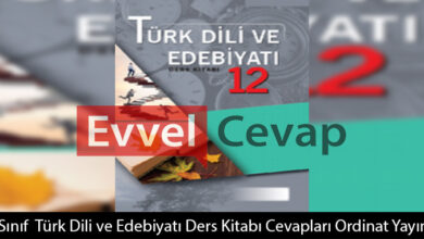 12. Sınıf Türk Dili ve Edebiyatı Ders Kitabı Cevapları Ordinat Yayınları