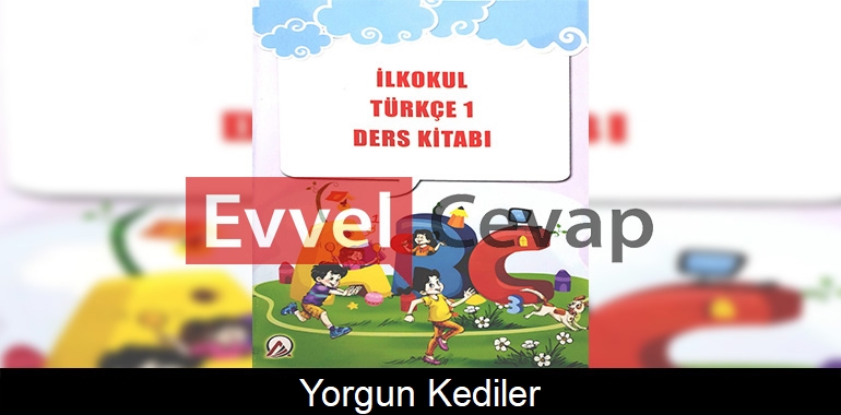 Yorgun Kediler Metni Etkinlik Cevapları (1. Sınıf Türkçe) 